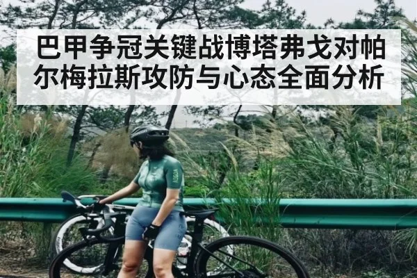 巴甲争冠关键战博塔弗戈对帕尔梅拉斯攻防与心态全面分析 | kaiyun